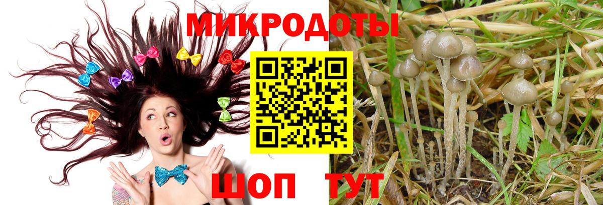 Псилоцибиновые грибы мухоморы Северобайкальск