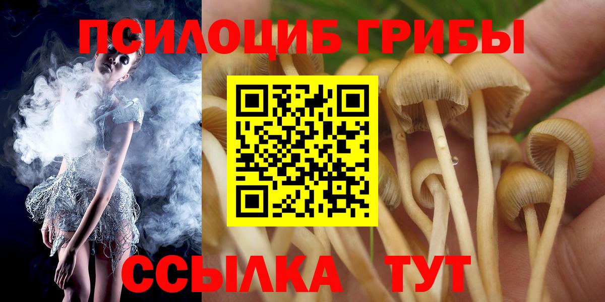 Северобайкальск  Псилоцибиновые грибы Psilocybine cubensis  Вход с VPN  Псилоцибиновые грибы мицелий 